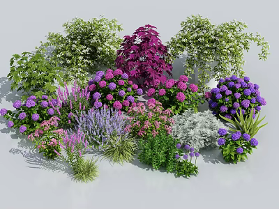 Vibrant Flowers and Plants Collection with Purple Pink Blooms and Lush Green Foliage Assortment 3d model