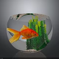 Orange Goldfish Swimming in Glass Fishbowl with Green Aquatic Plants and Sand