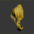 Exotic Yellow Gourd with Unique Curved Shape and Green Spots as Fresh Organic Vegetable