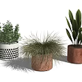Varied Potted Plants With Geometric Pattern Textured And Solid Color Planters