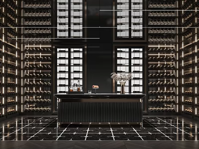 Luxury Wine Cellar Interior Design With Illuminated Racks And Central Bar Counter 3d model
