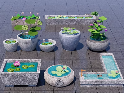 Courtyard Garden Stone Containers Arrangement With Various Shapes Lotus Flowers And Water Features 3d model