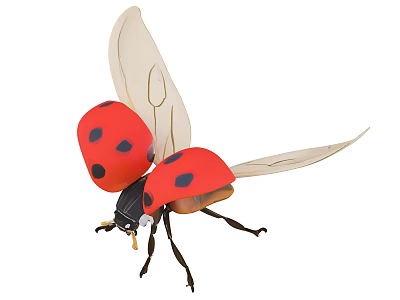 Flying Ladybug With Red Body Black Spots And Transparent Wings 3d model
