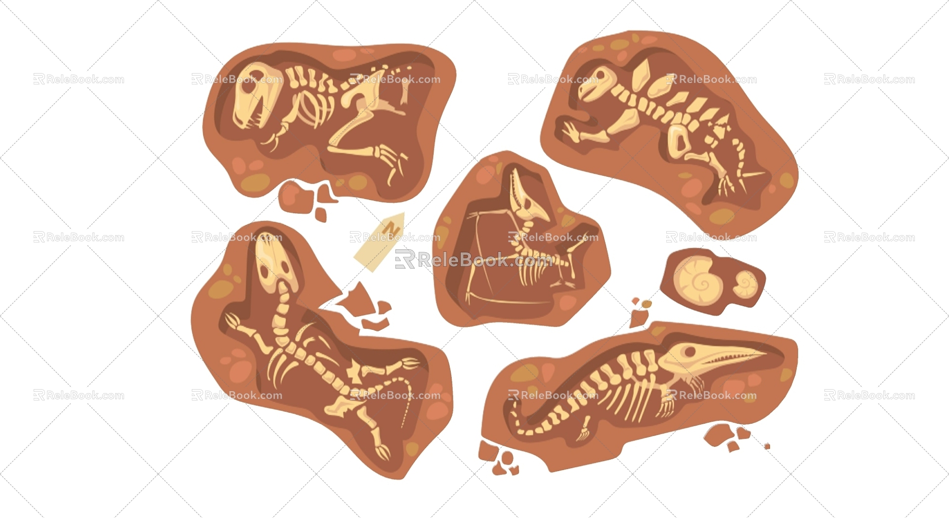 2D Fossil Dinosaur Bones 3d model