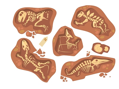 2D Fossil Dinosaur Bones 3d model