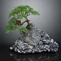 Bonsai Plant with Green Leaves on Rock Base and Small House Decoration