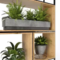 Stylish Indoor Garden Plant Display With Wooden Shelves Gray Planters And Various Green Plants