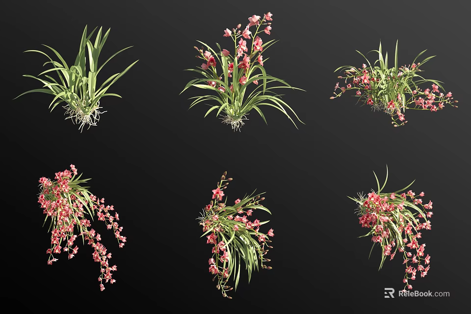 Beautiful Pink Flowers With Green Leaves in Various Natural Arrangements Against Black Background 3d model 