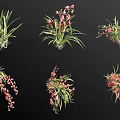 Beautiful Pink Flowers With Green Leaves in Various Natural Arrangements Against Black Background