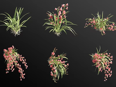 Beautiful Pink Flowers With Green Leaves in Various Natural Arrangements Against Black Background 3d model