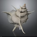 Conch Marine Animal With White Spiral Shell And Spiky Protrusions On Dark Background