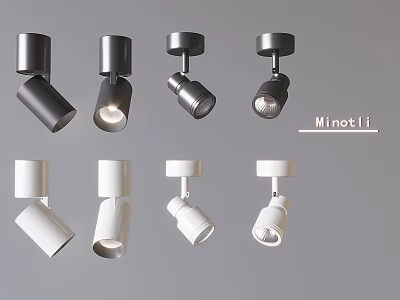 Modern Black And White Downlights And Spotlights With Various Stylish Designs 3d model