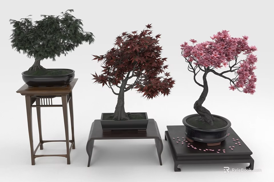 Bonsai Trees with Green Red and Pink Leaves on Wooden Stands in Decorative Pots 3d model 