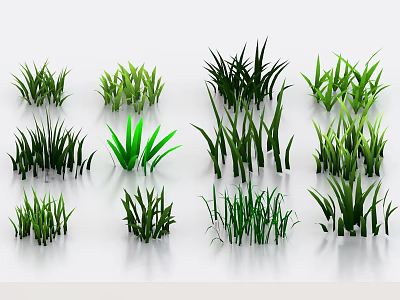Green Grass Plants in Various Shapes and Sizes Neatly Arranged on White Background 3d model