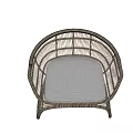 Modern Rattan Leisure Chair With Curved Frame And Gray Cushion Design