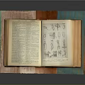 Open Book With Text And Illustrations In Colorful Wooden Frame