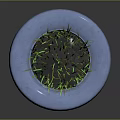 Green Grass Growing Lush Inside a Blue Recycled Tire Planter Container