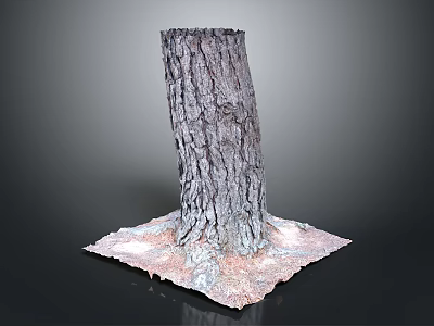 Tree Stump With Rough Bark Texture On Square Base And Surrounding Soil Debris 3d model