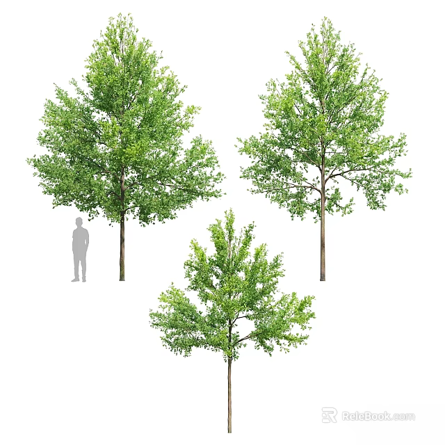 Decorative Ornament Sets with Three Green Trees in Various Sizes and Human Figure Scale 3d model 
