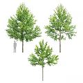 Decorative Ornament Sets with Three Green Trees in Various Sizes and Human Figure Scale