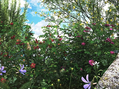 Vibrant Flowering Shrubs With Red And Purple Blooms Lush Green Leaves Against Blue Sky Background 3d model