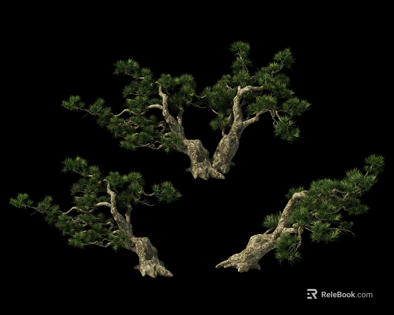 Three Ornamental Trees With Twisted Trunks And Lush Green Foliage On Black Background 3d model 