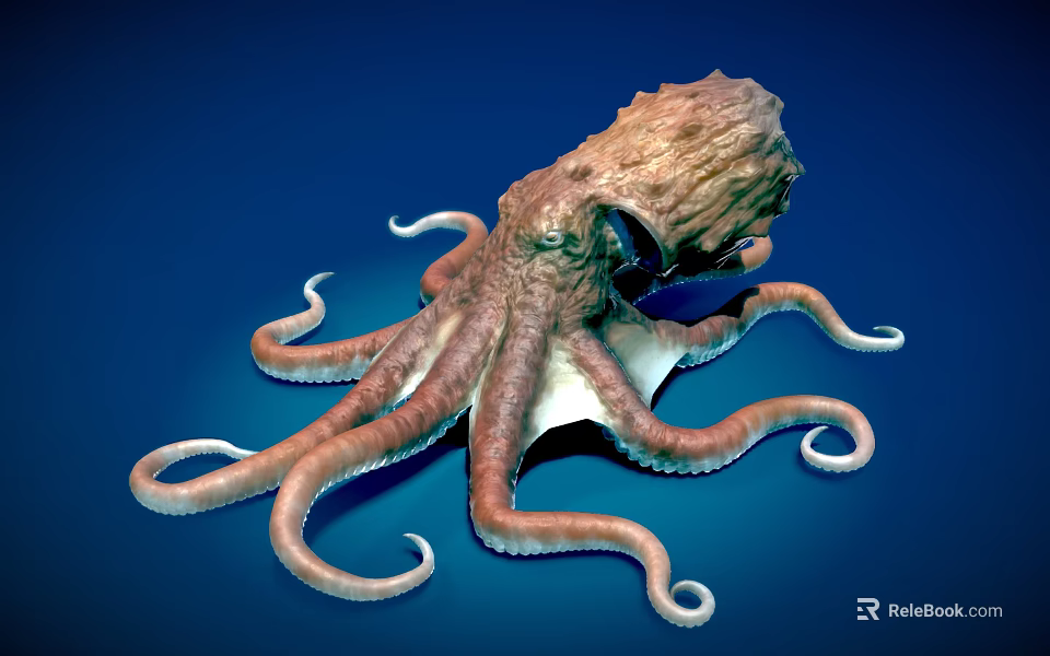 Realistic Brown Octopus With Curled Tentacles On Blue Underwater Background Scene 3d model 