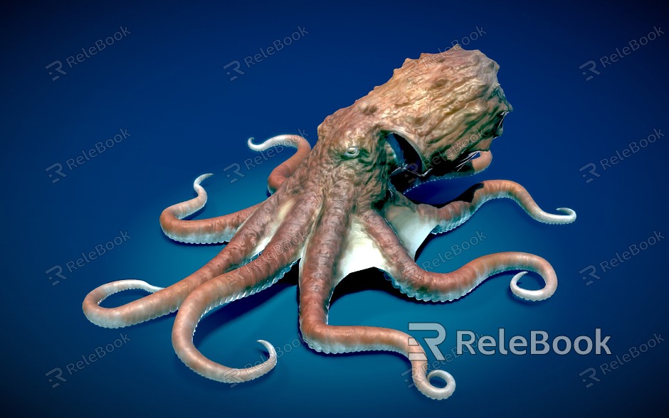 octopus giant octopus marine animal model