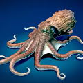 Realistic Brown Octopus With Curled Tentacles On Blue Underwater Background Scene 3d model