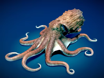Realistic Brown Octopus With Curled Tentacles On Blue Underwater Background Scene 3d model