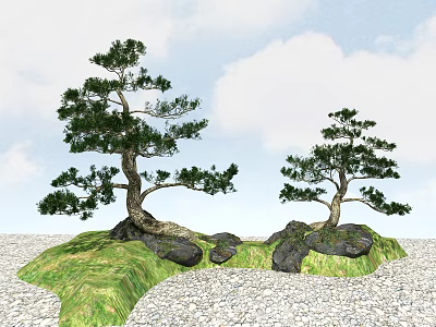 Two Pine Trees With Twisted Trunks On Green Grass And Rocks Under Blue Sky 3d model
