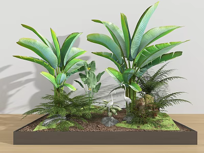 Lush Indoor Plant Combination with Large Leafy Plants Ferns and Green Foliage in Decorative Tray 3d model