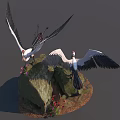 Flying Animals Herons With Spread Wings Standing On Rock Under Blue Sky Near Red Flowers