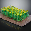 Bright Yellow Sunflowers With Green Stems And Leaves Growing In Brown Soil