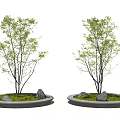 Modern Tree Pool Landscape Tree Pool 3d model