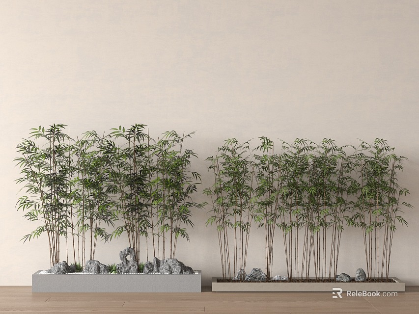 Bamboo Plants In Indoor Decor With Rocks And Minimalist Background 3d model 