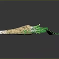 Two Fresh Parsnip Roots With Vibrant Green Leaves On Dark Background