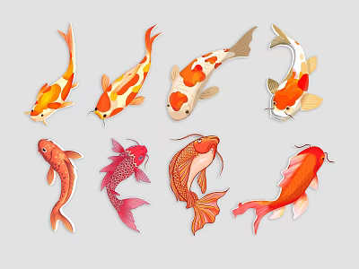 Animal Wall Decor With Colorful Koi Fish And Vibrant Decorative Designs 3d model