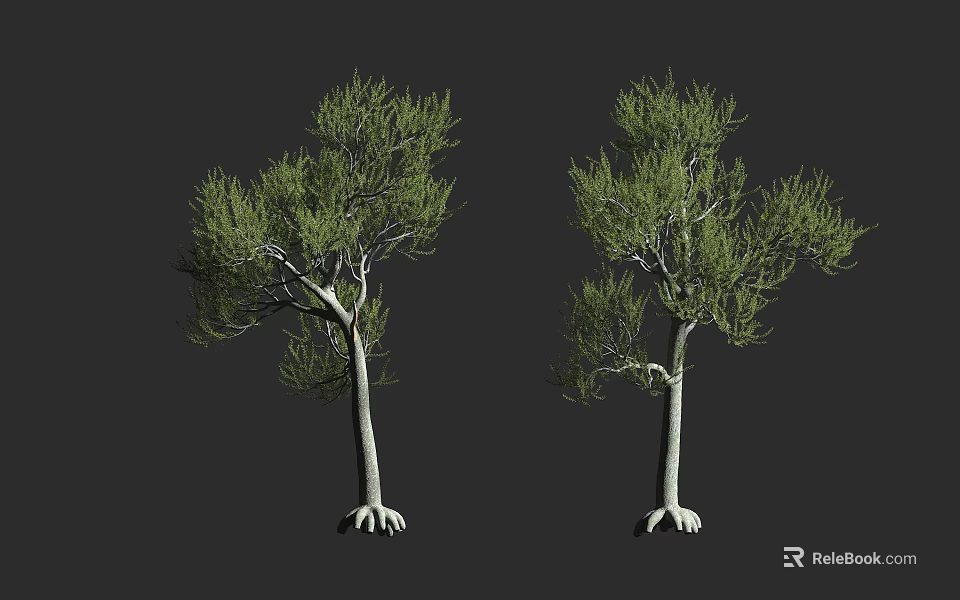 Two Green Foliage Trees With White Trunks And Aerial Roots On Gray Background 3d model 