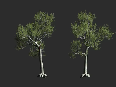 Two Green Foliage Trees With White Trunks And Aerial Roots On Gray Background 3d model