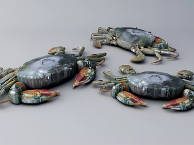 Modern Crab 3d model