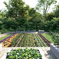 Vibrant Vegetable Garden Landscape With Raised Beds Colorful Flowers Lush Greens And Wooden Pathways