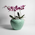 Elegant Potted Purple Orchid Plant In Light Green Crackle Texture Pot