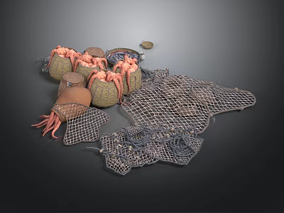 Seafood Display Setup With Woven Baskets Fishing Net And Octopus Tentacles 3d model