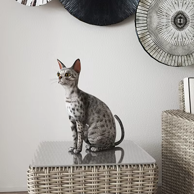 Spotted Reptile Sitting On Metallic Table With Decorative Wall Art 3d model