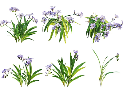 Beautiful Purple Flower Plants With Green Leaves And Various Growth Shapes 3d model
