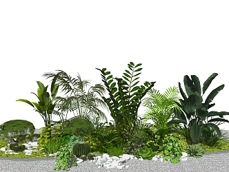 Modern shrub landscape sketch plant shrub 3d model