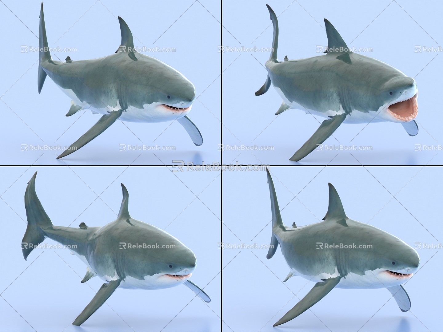 Great White Shark with Bound and Animated Shark Sea Life 3d model