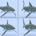 Great White Shark with Bound and Animated Shark Sea Life 3d model