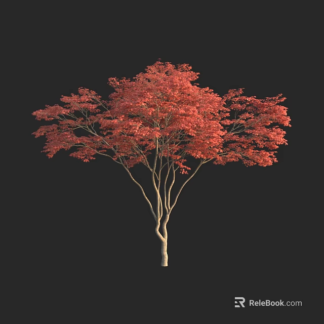Vibrant Red Leaf Tree With Light Colored Trunk Against Black Background 3d model 